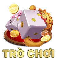 Sử dụng thông tin chính xác